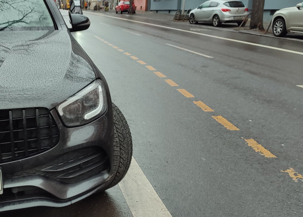 Polizeibeobachter 🌳🐘 tweet media