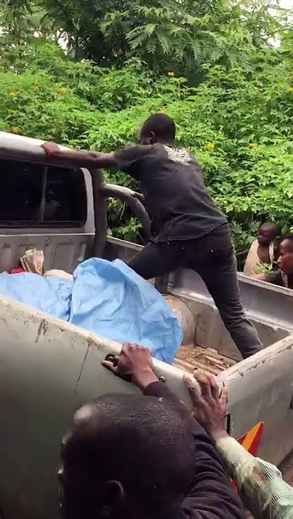 Gatekeep la série la plus stream de l’histoire