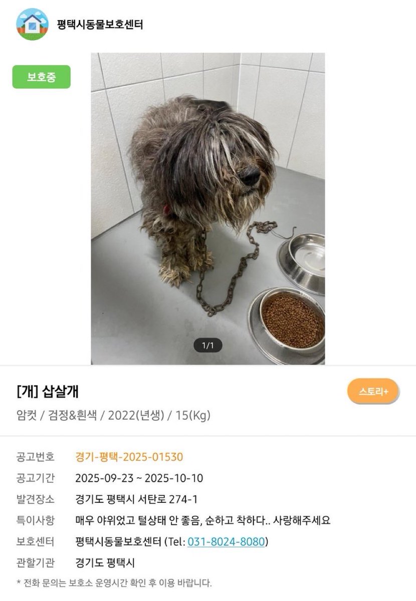 특이사항 볼사람…🥺
사랑해주세요