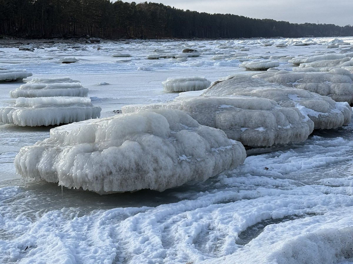 Ledaina reportāža no Rojas. Iepretī Ķirķragam