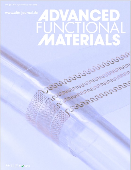 John A Rogers tweet media