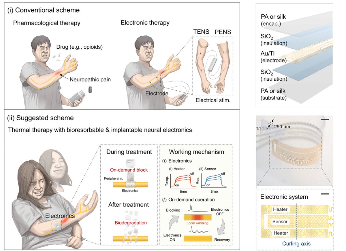 John A Rogers tweet media
