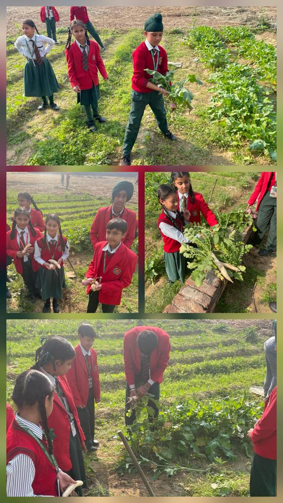 🌿🔔 Hands-on Learning at STS World School! 🔔🌿
🌱 Eco Club: Students engaged in gardening &amp; weeding, promoting a clean and green campus.
⚡ Electrical Club: Students built an electric bell and learned about open &amp; closed circuits.
Learning by doing ✨
 #EcoClub #ElectricalClub