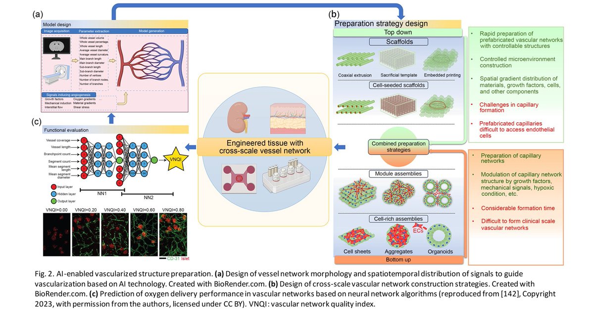 Bio-Design and Manufacturing tweet media