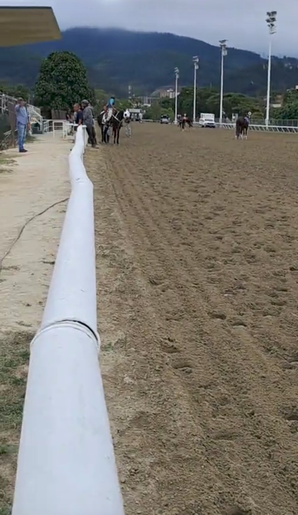 PabloJota27's tweet image. ((( #LARINCONADA ))) Full Galopes Hoy Día!!!! Este Fin De Semana #LOQUEHAYVIDAESVERGA Sin Dar Ni Un Milímetro De Ventaja Para La Jornada Nocturna  Del Sábado Y En Horario Habitual El Domingo #SUSCRIPCIONVIP 📲+584226485373 Vía WhatsApp-Telegram 👇👇👇