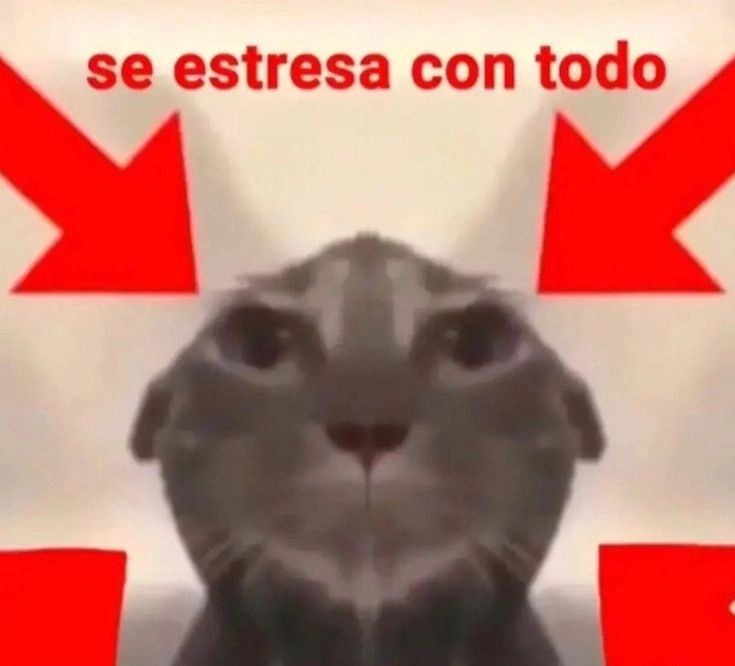 𓂃˖˳·˖ ִֶָ ⋆𝓫𝓮𝓴𝓪𝓪⋆ ִֶָ˖·˳˖𓂃 ִֶָ (@b3k4thh) on Twitter photo 