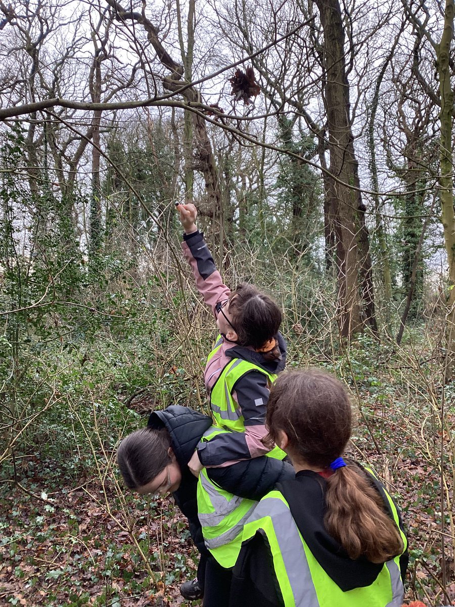 Capenhurst CE PS tweet media