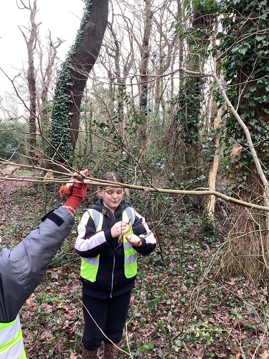 Capenhurst CE PS tweet media