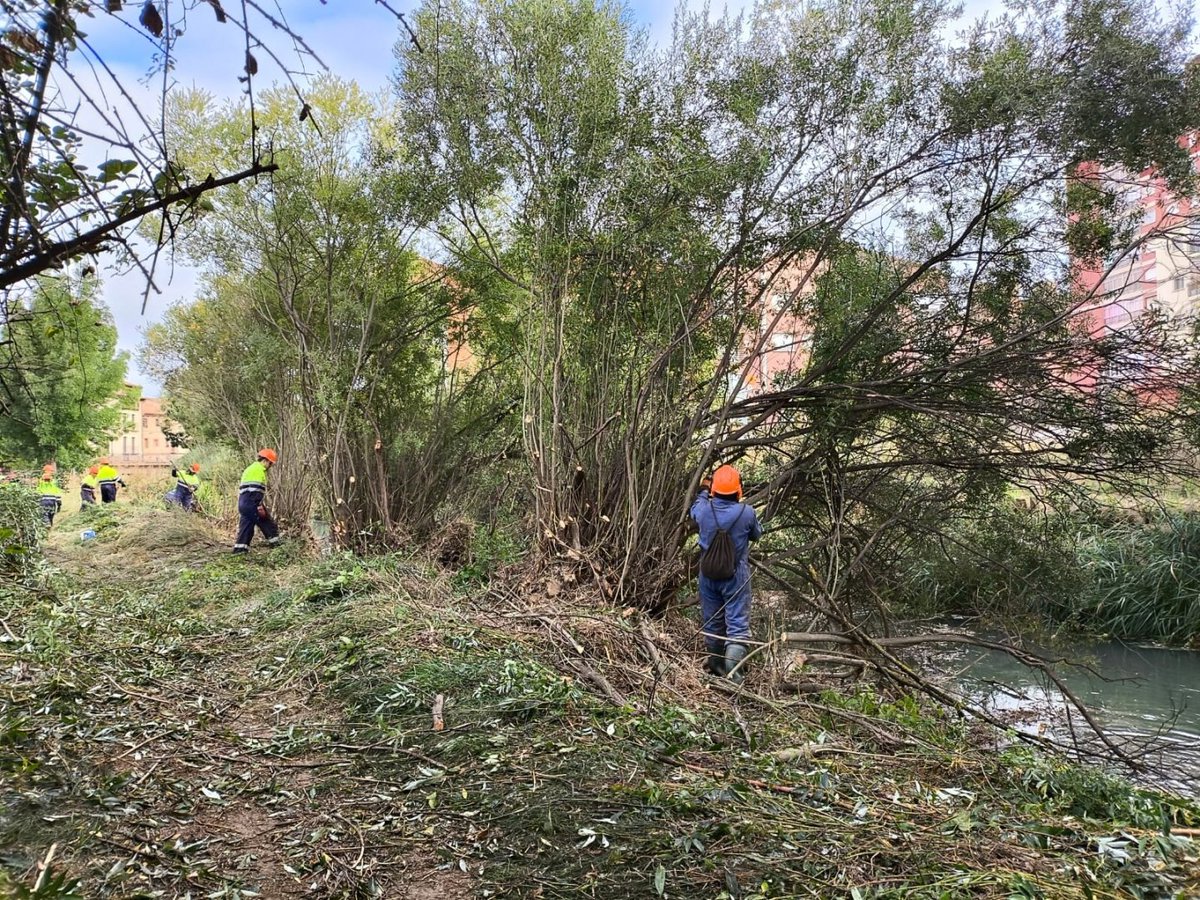 NuevaAlcarria's tweet image. Estos son los cinco efectos críticos de la falta de limpieza en los cauces de los ríos, según un ingeniero experto nuevaalcarria.com/articulos/esto… #gestión #hidráulica #puntos #críticos #Guadalajara #Tajo #ingeniería #prevención #riadas #mantenimiento #seguridad #Infraestructura