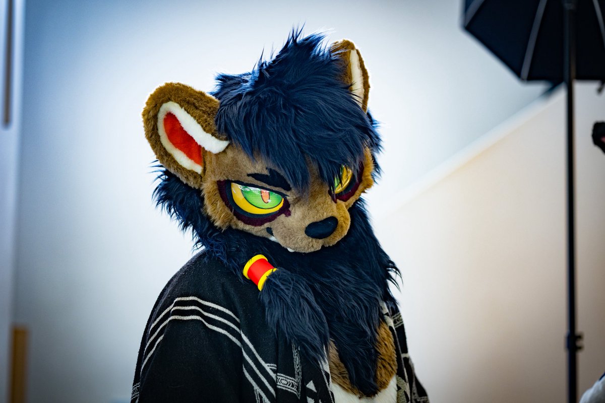 Ash Dragon Wolf