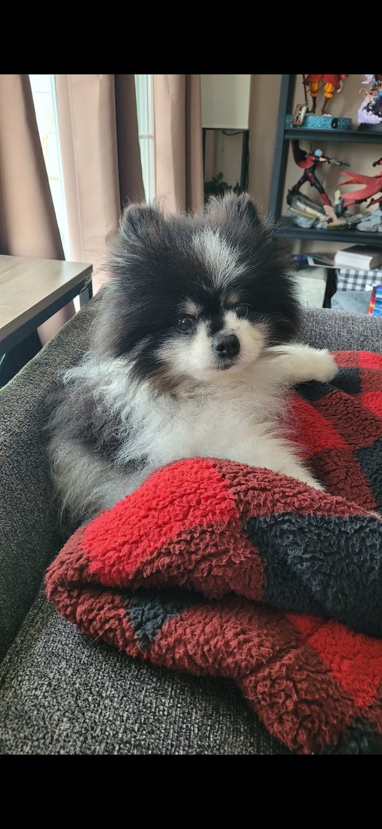 Runebee 🐎 tweet media