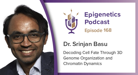 Active Motif tweet media