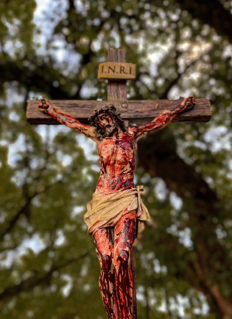 RosarySon tweet media