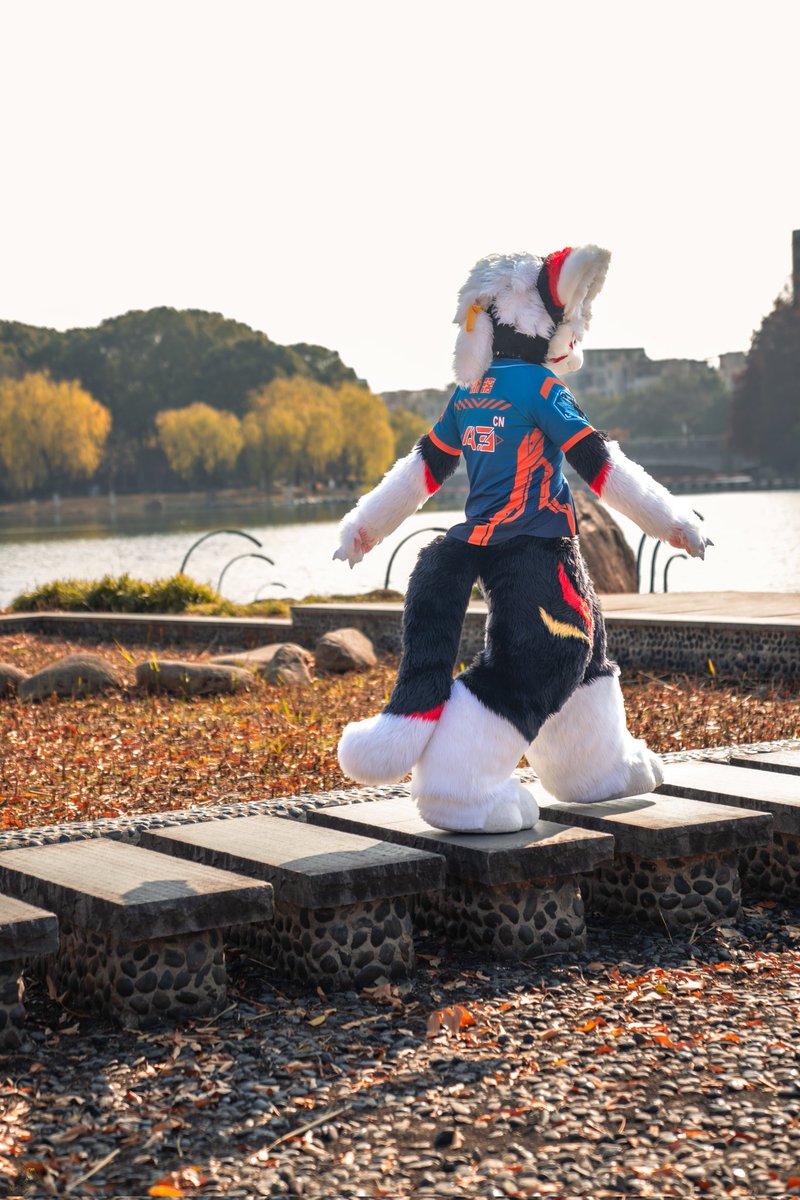 淅漓🔜Wff冬兽聚 tweet media