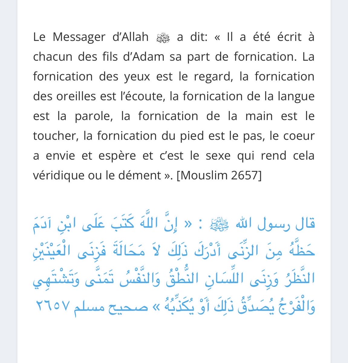 mini_mousse tweet media