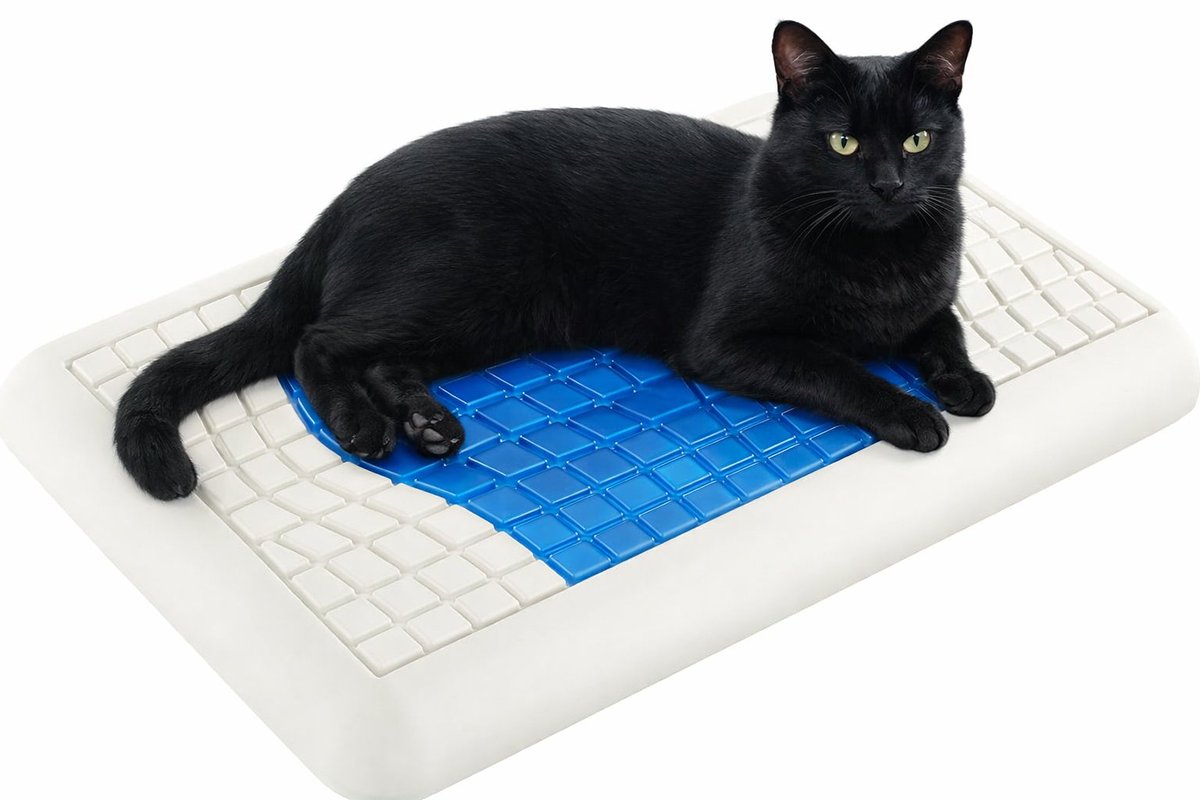 Technogel tweet media