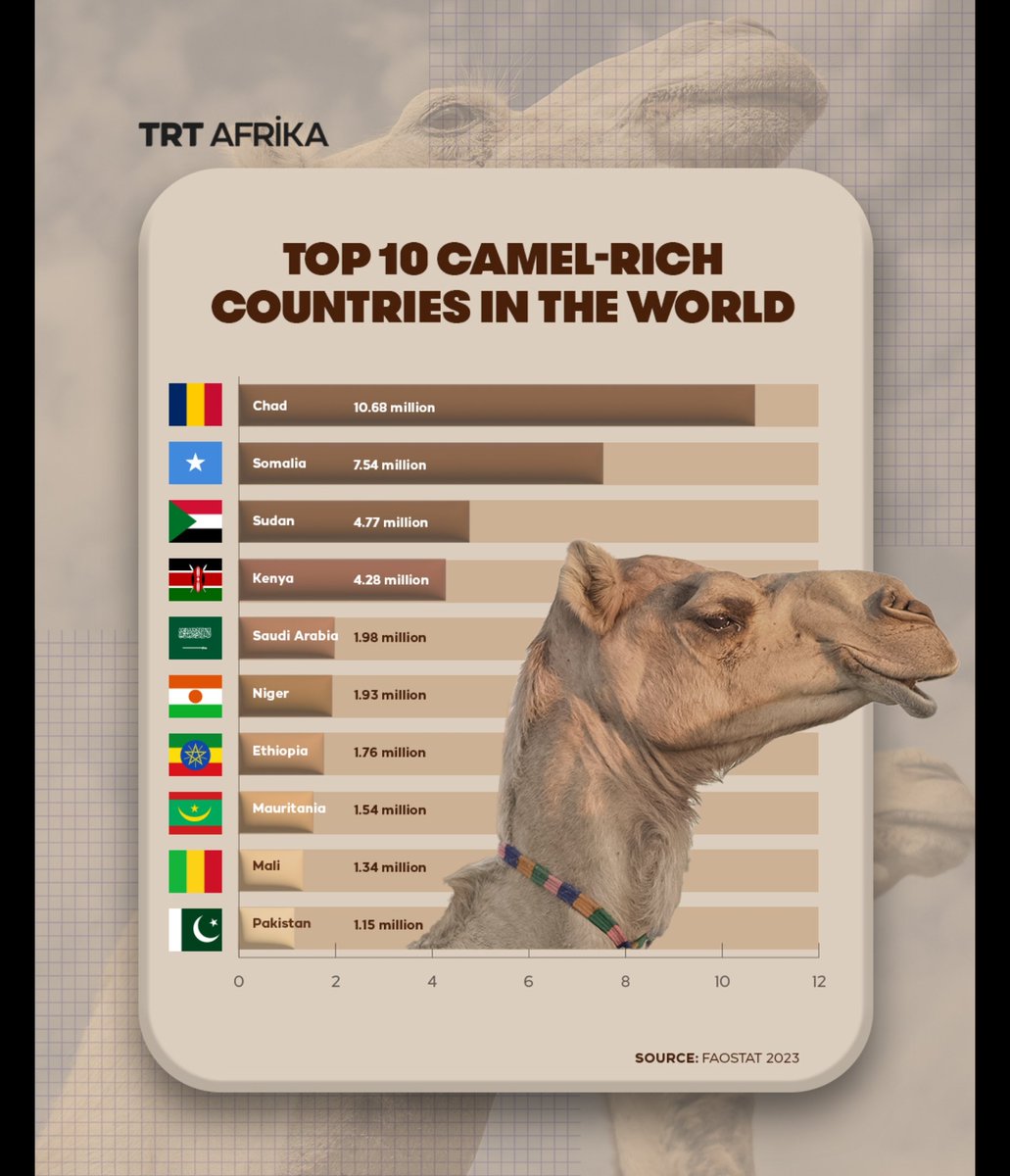 Ahmednasir Abdullahi SC tweet media