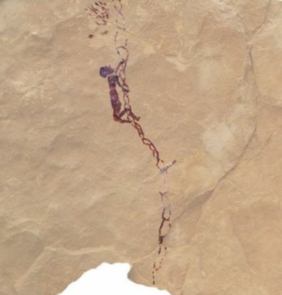 Nick Lloyd tweet media