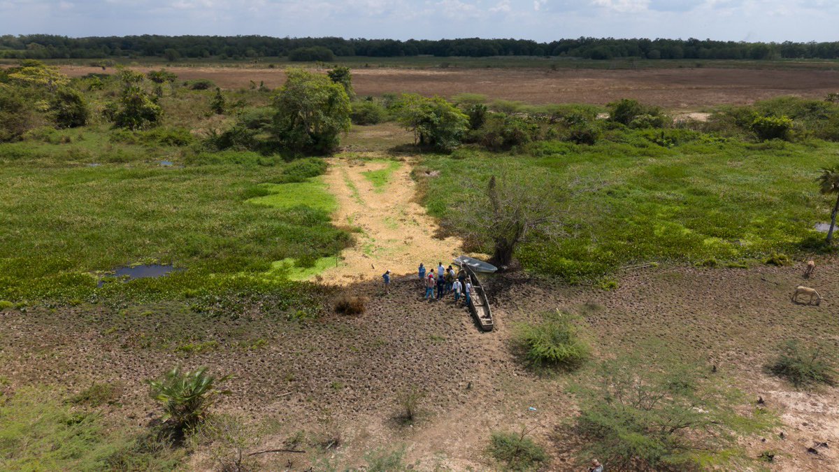 CORPAMAG tweet media