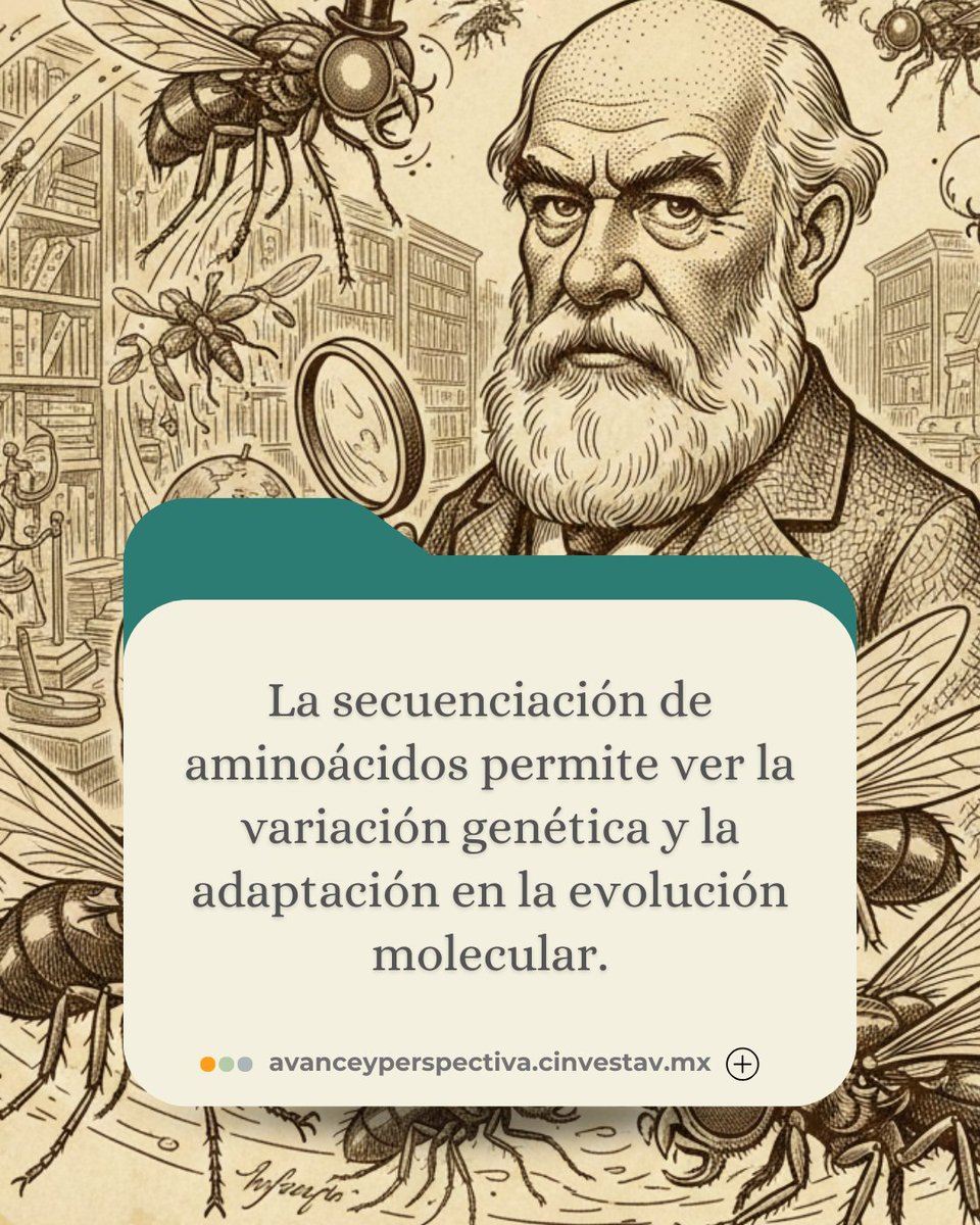 RevistaAyP's tweet photo. Hoy 12 de febrero, que se conmemora el día de Darwin, te invitamos a leer este artículo sobre la evolución molecular:
🌐https://t.co/XausdB4OjV
🪰🧬
#BiologiaMolecular #Evolución https://t.co/MaRlfl15F0