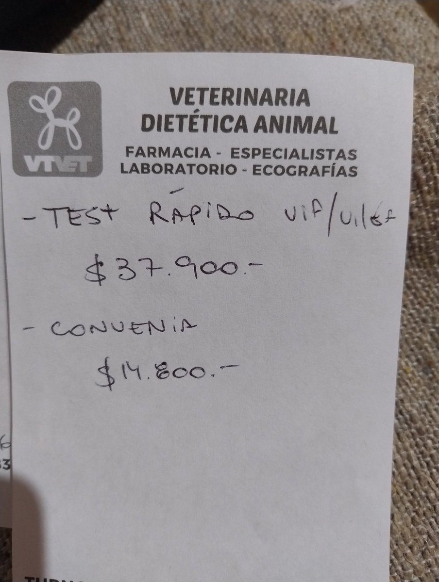 nova 🪷 tweet media