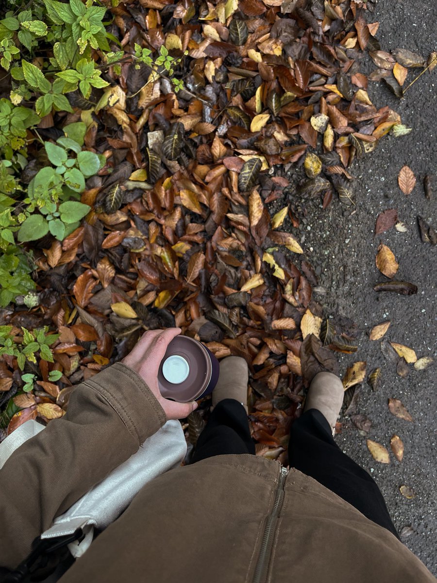 meshari.m tweet media