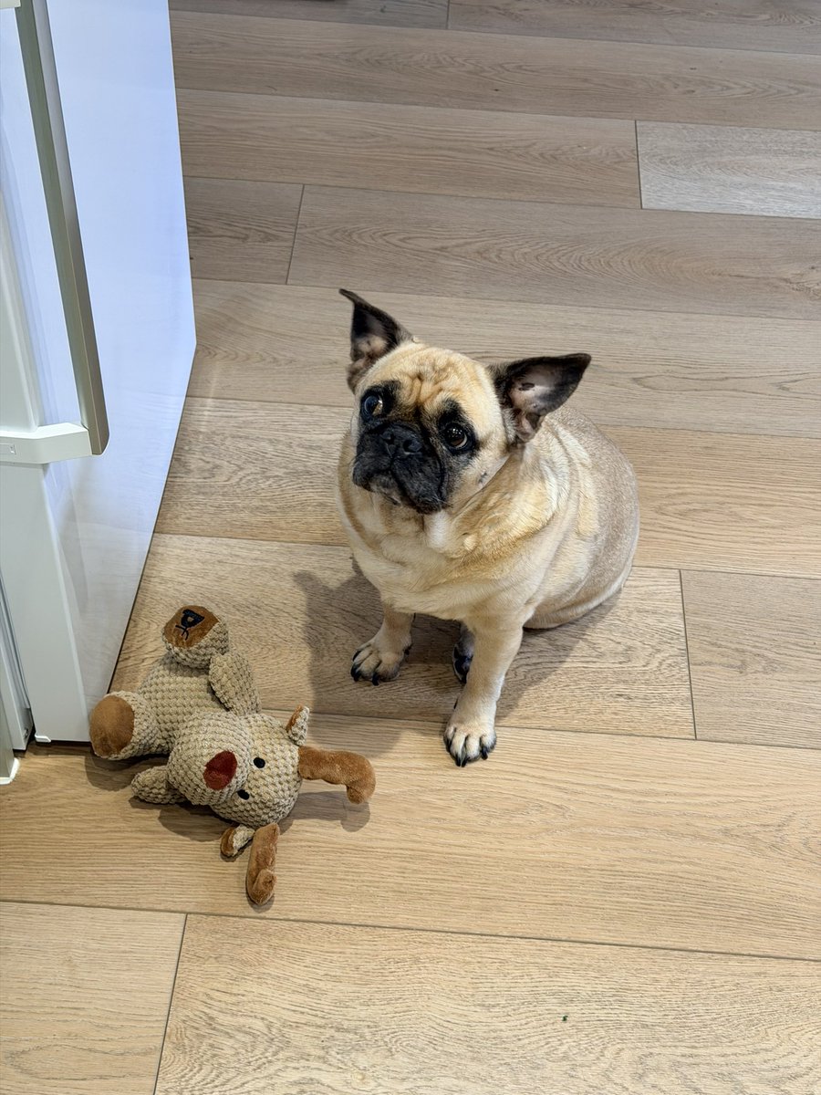 Gerald Davies tweet media