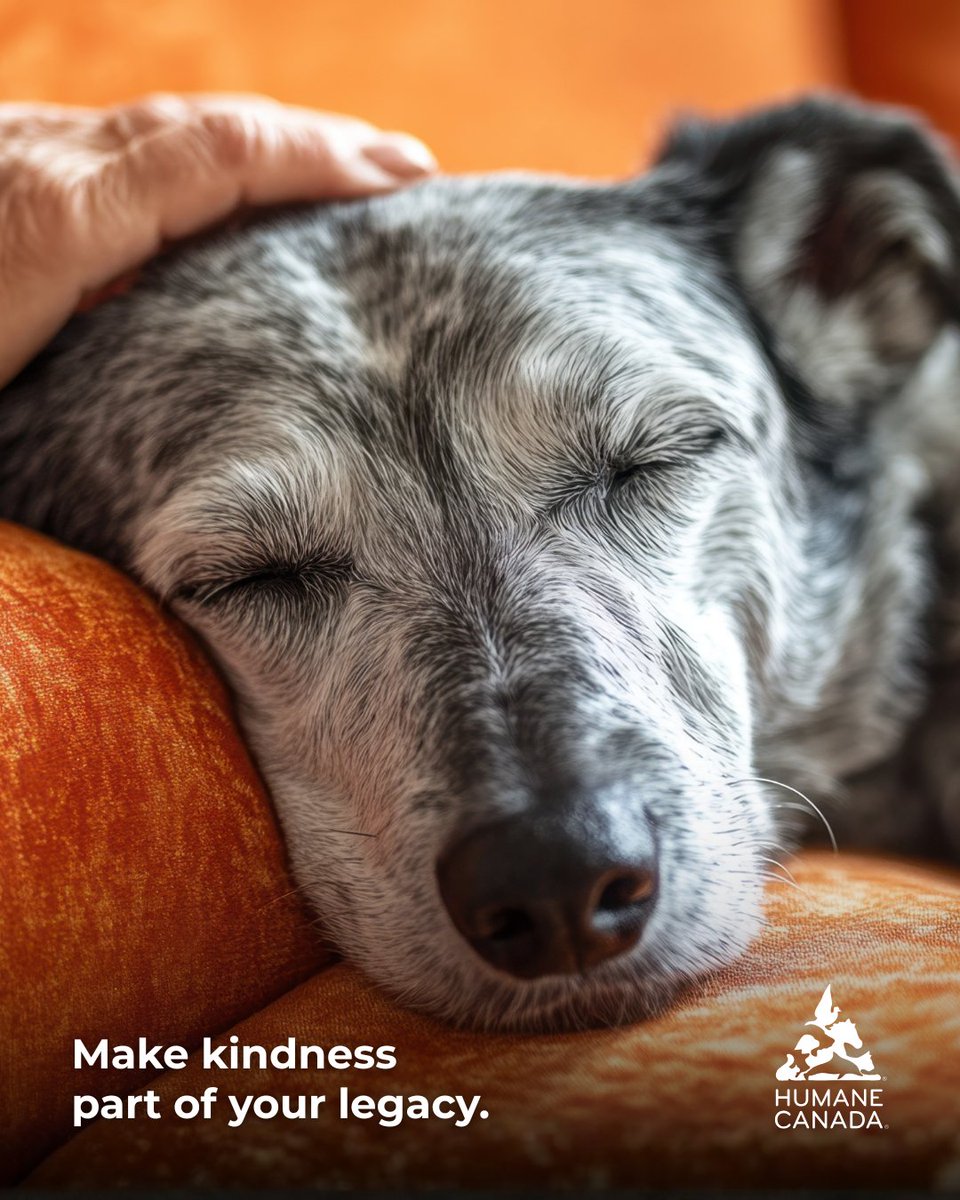 Humane Canada tweet media