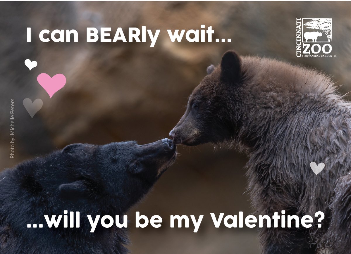 CincinnatiZoo's tweet image. Roses are red,
Violets are blue,
These animal valentines
Are purrfect for you