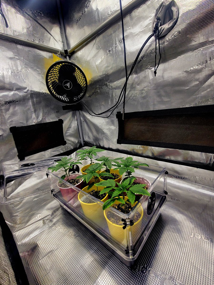 Trent'sGotAGarden tweet media