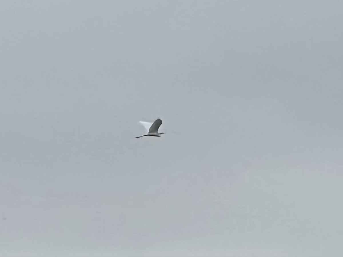 Stuart Read tweet media