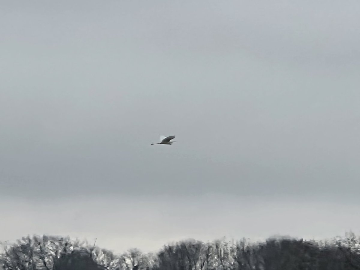 Stuart Read tweet media