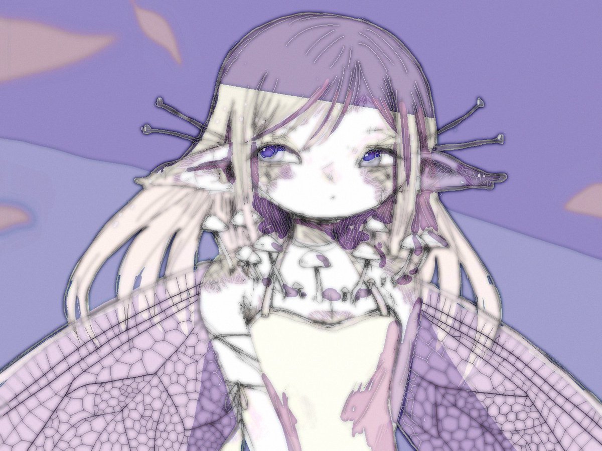 sodataxi tweet media