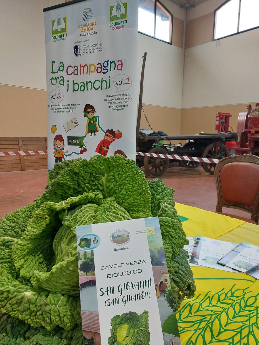 ColdirettiAL's tweet image. A lezione di biodiversità per tutelare le colture che rendono unico il territorio
A Cascina Merlanetta protagonisti gli alunni dell’Istituto “Angelo Custode”
Il Cavolo di San Giovanni, la scoperta delle tradizioni nel Museo Contadino e la ricerca dell’oro
@coldiretti #coldiretti