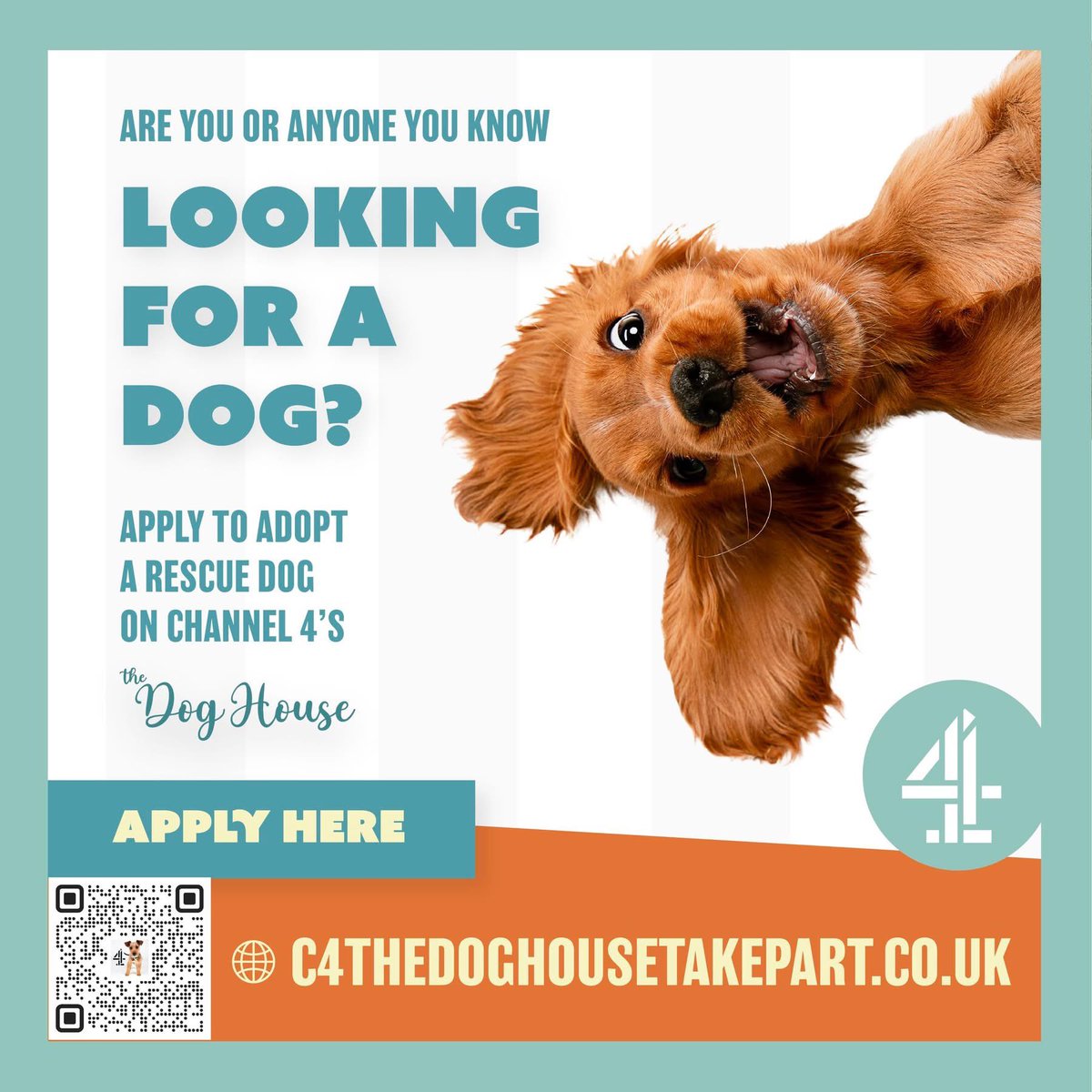 mint casting tweet media