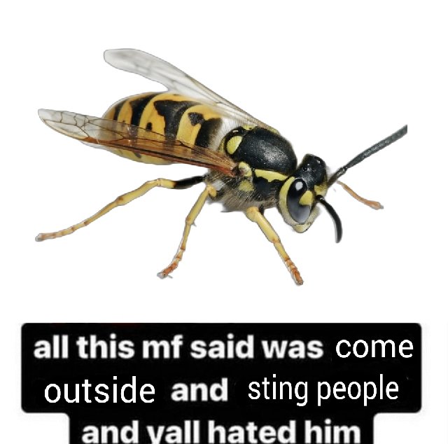 300,000,002 Yellow Jacket Wasps (@arithedumb) on Twitter photo 