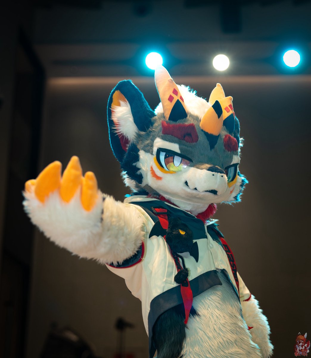 🦇➡️ 澜西群岛 tweet media