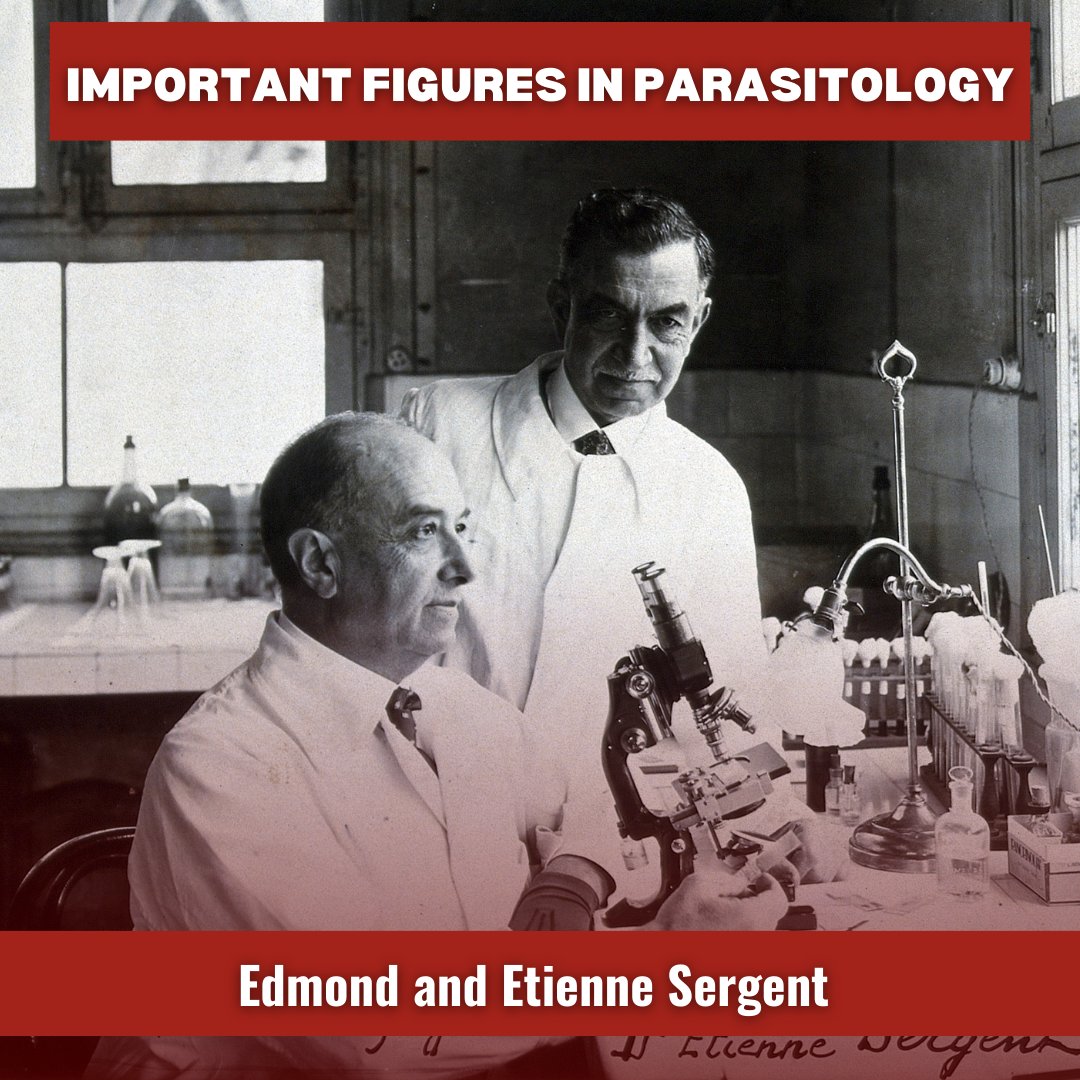 PWB_Global's tweet photo. In 1921, Edmond and Etienne Sergent demonstrated that sandflies were the vectors responsible for transmitting Leishmania to humans. One species bears their name, P. sergenti.

Page 32 📕 Parasitic Diseases, Eighth Edition

Download a copy for free! https://t.co/lcsh6lqVQv https://t.co/3yBNC6uP1b