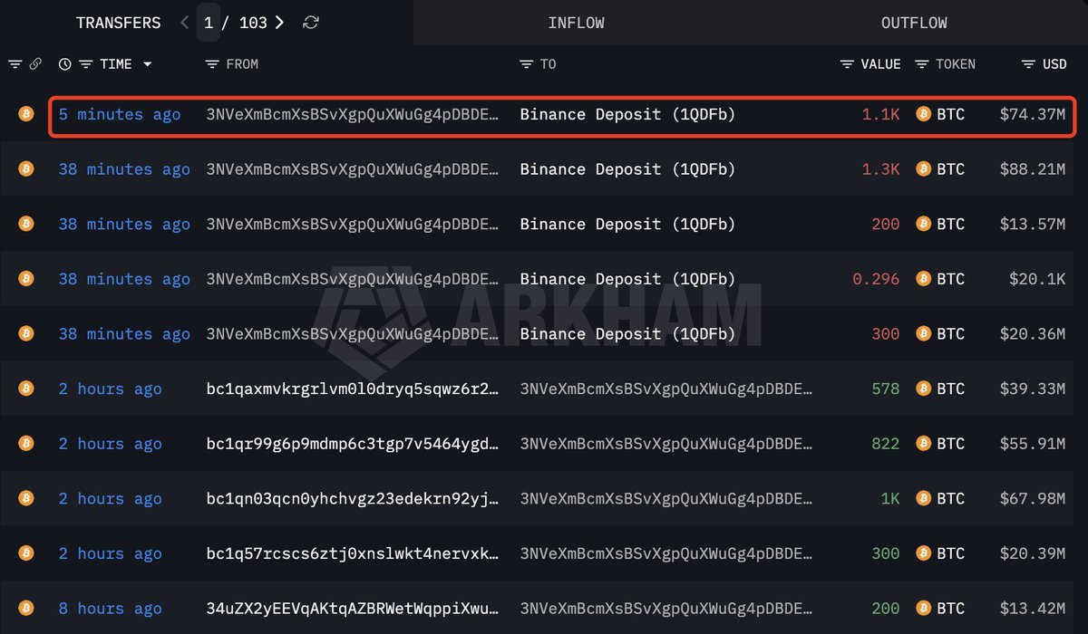 GrannyCatMeme 🐾 tweet media