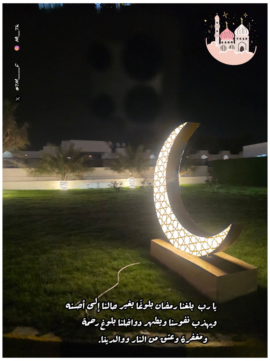 مروءة امرأة tweet media