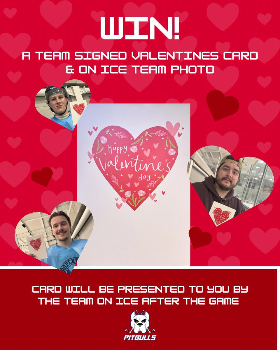 Drive Bristol North Pitbulls tweet media