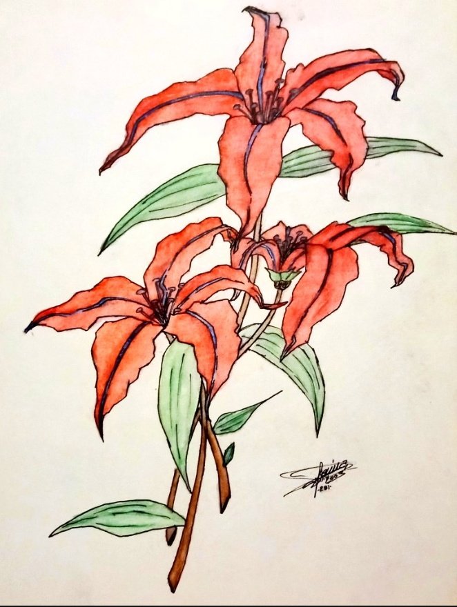 SeRiaL oFFiCiaL 🫟🖌️ tweet media