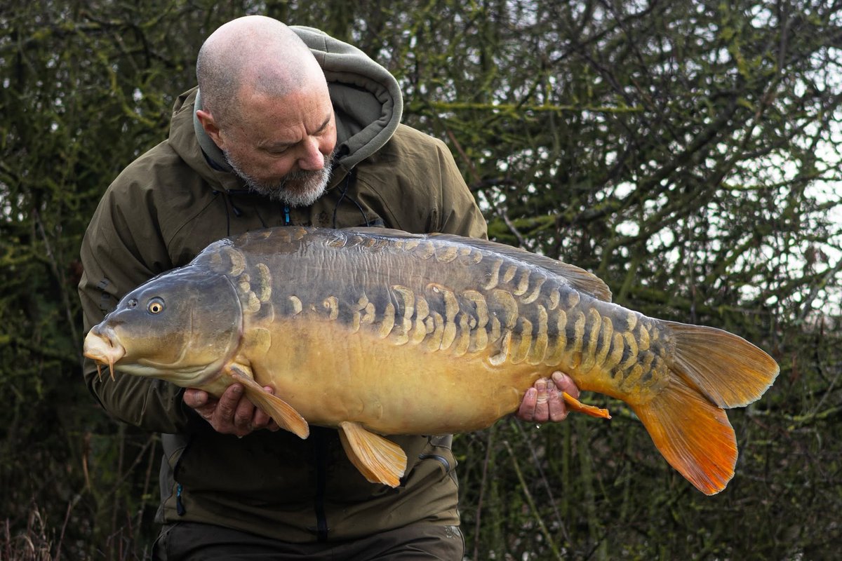 Mainline Baits Official tweet media