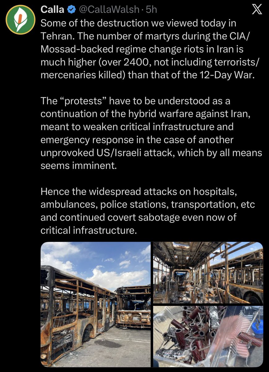 Sophie Fullerton tweet media