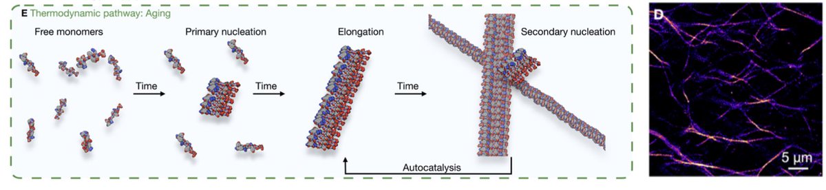 Job Boekhoven tweet media