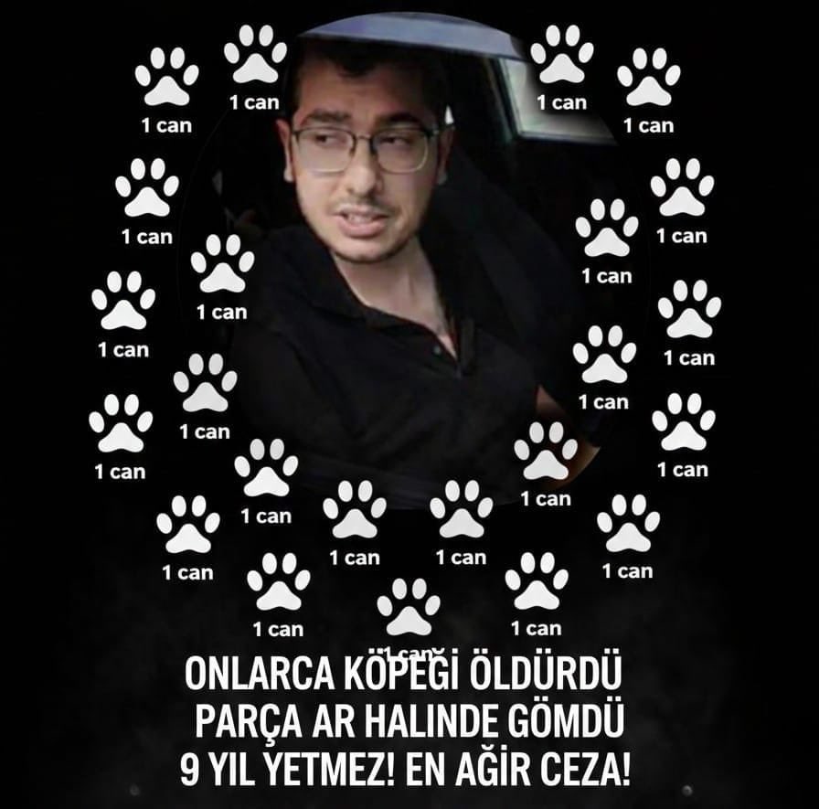 Şiddetin cezasız kaldığı hiçbir yerde güvenlik olmaz. Bugün 28 yavru can için, yarın herkes için adalet.❗️

#DrMustafaDumanAffedilemez
