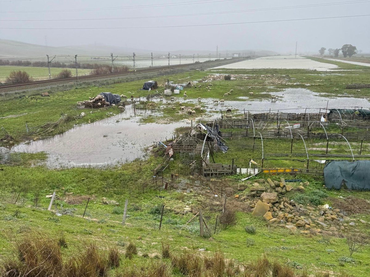 La Diputación de Sevilla ausente en su respuesta ante la emergencia por el temporal en la provincia.

Lee aquí la noticia completa:

ppsevilla.com/la-diputacion-…