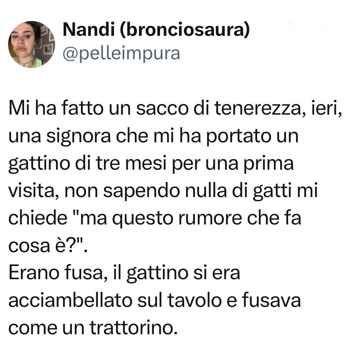 Sfigatto's tweet photo. 🩵🩵 https://t.co/TVmndlDhiY