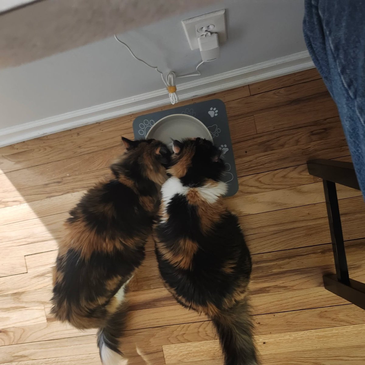 We vewy good at sharimg! ❤️