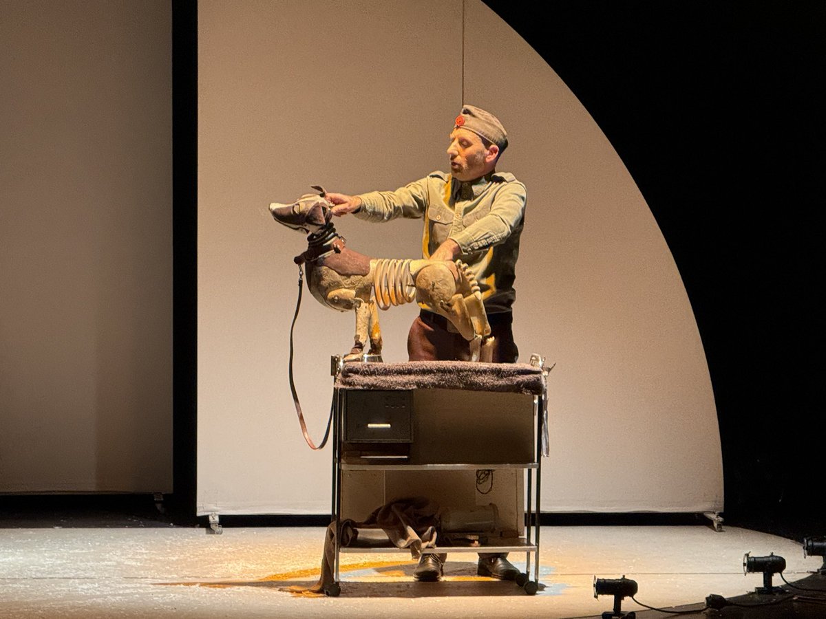 🎭✨ 700 escolares de Palencia vibran con Laika en Guardo dentro de #convivelarte.

Un espectáculo premiado (🏆 Premio Max 2021) combina títeres, sombras y música original para contar la historia de la primera perrita en orbitar la Tierra 🚀🐶

Gracias a centros y <a href="/aytoguardo/">Ayuntamiento Guardo</a>